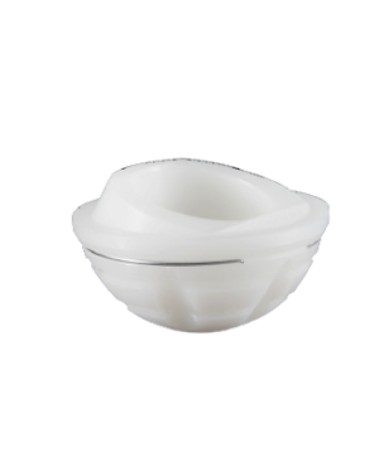 Acetabular Cup