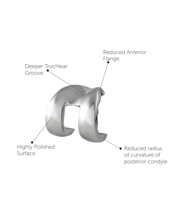Femoral Component