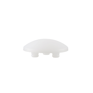 Patella