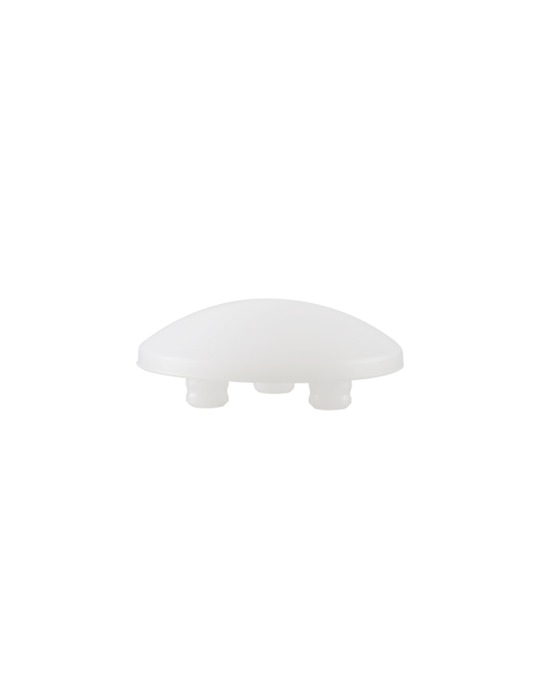 Patella